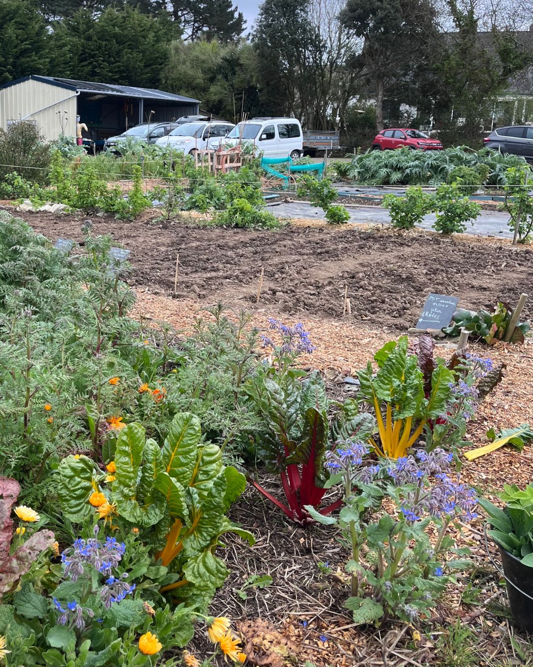 Et si le jardinage faisait partie de vos bonnes résolutions ? 