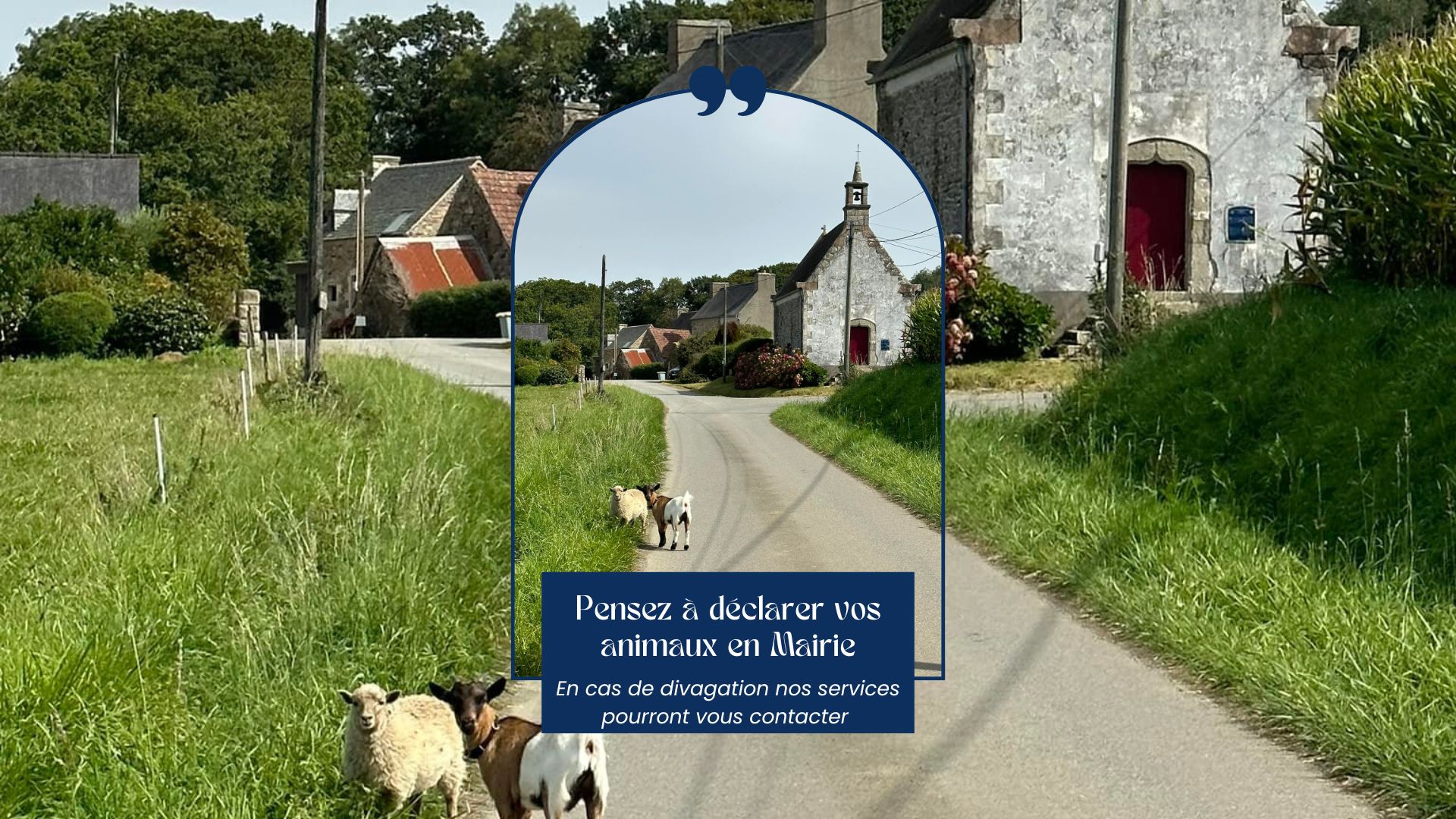Pensez à déclarer vos animaux auprès de la Police Rurale