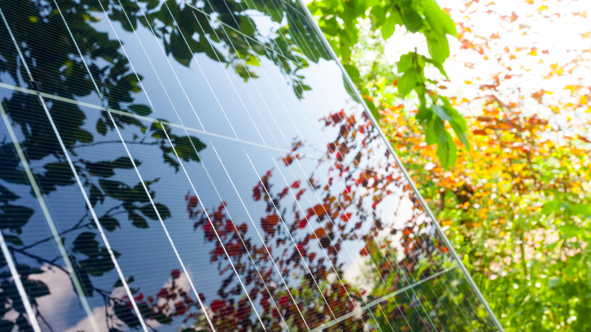 Consultation publique sur le projet de création d'un parc photovoltaïque à Goasorguen