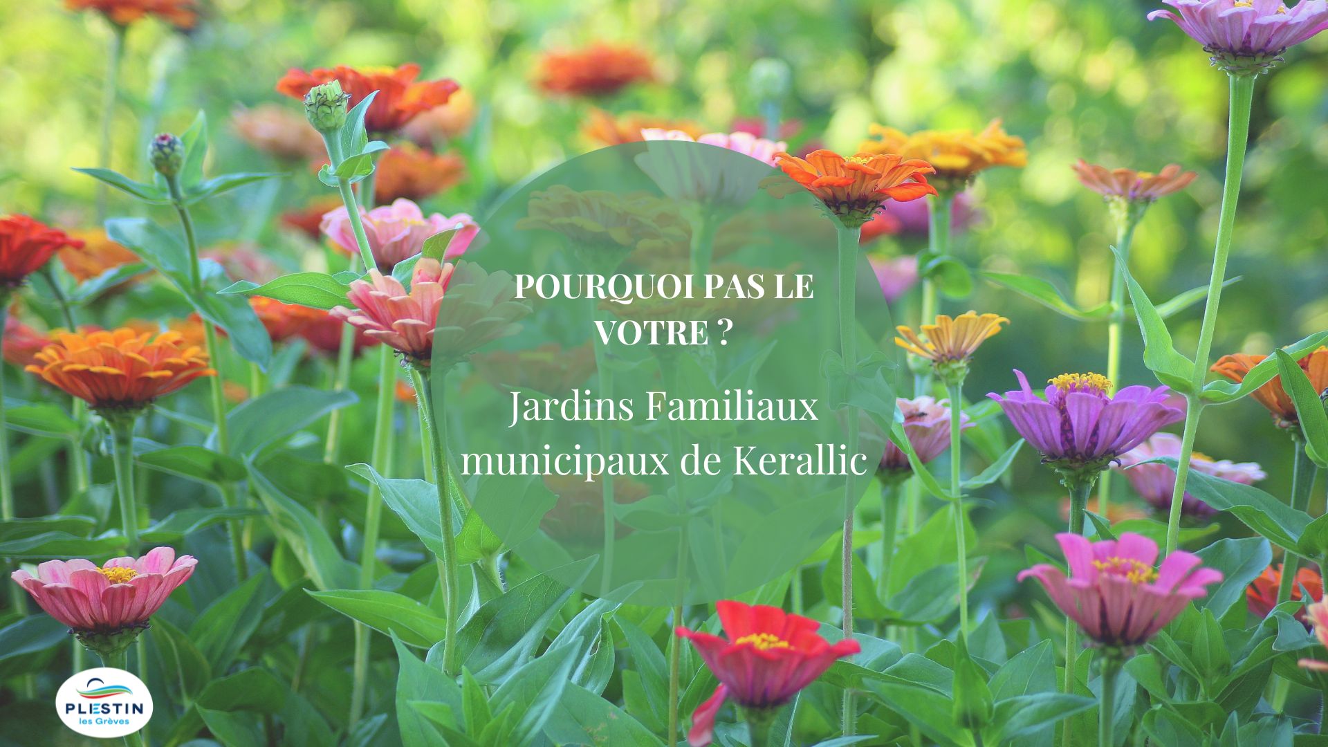 Place à la cueillette aux jardins familiaux municipaux de Kerallic