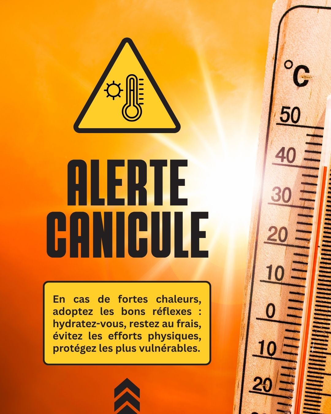 ALERTE CANICULE