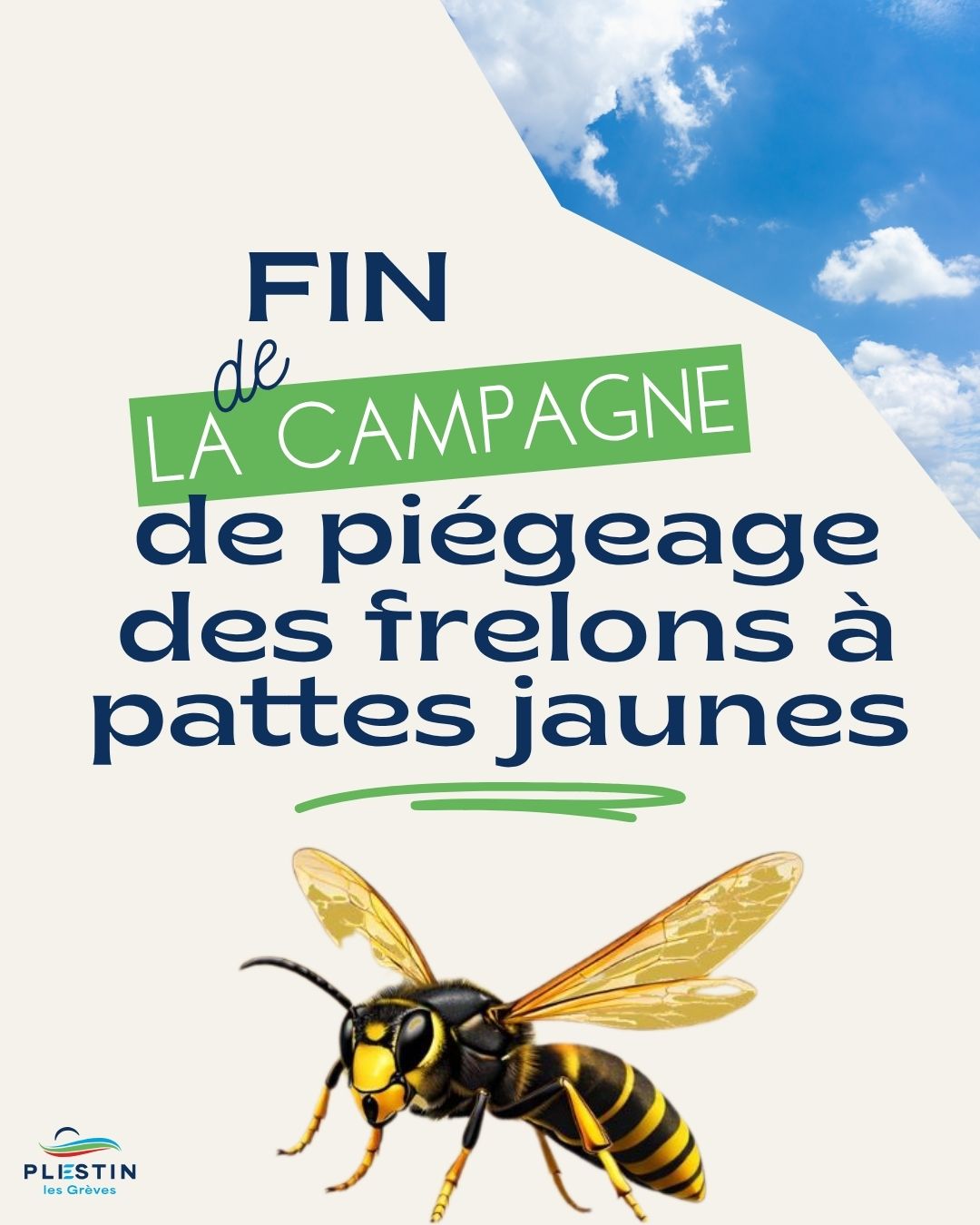 Fin de la campagne de piégeage des frelons à pattes jaunes 