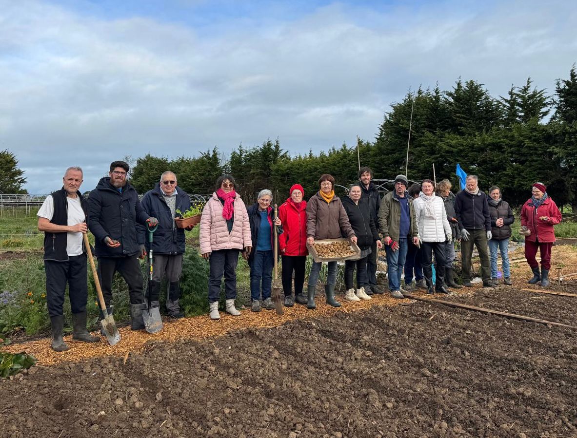 Le planté de patates est lancé !