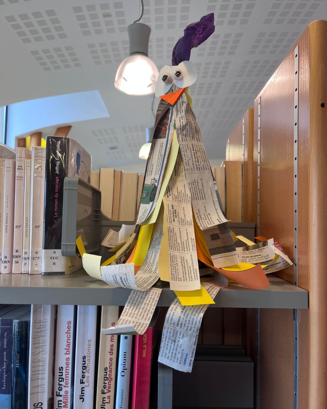 Une Belle exposition à découvrir à la médiathèque de Plestin