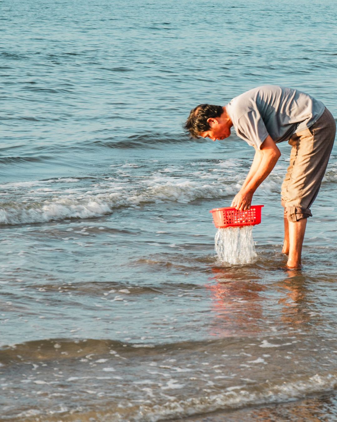 INTERDICTION TEMPORAIRE DE PÊCHE À PIED 