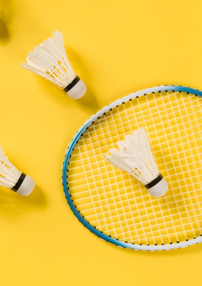 Championnat interclub mix départemental - badminton