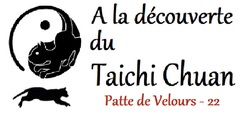 Patte de velours - 22 (Taichi Chuan)
