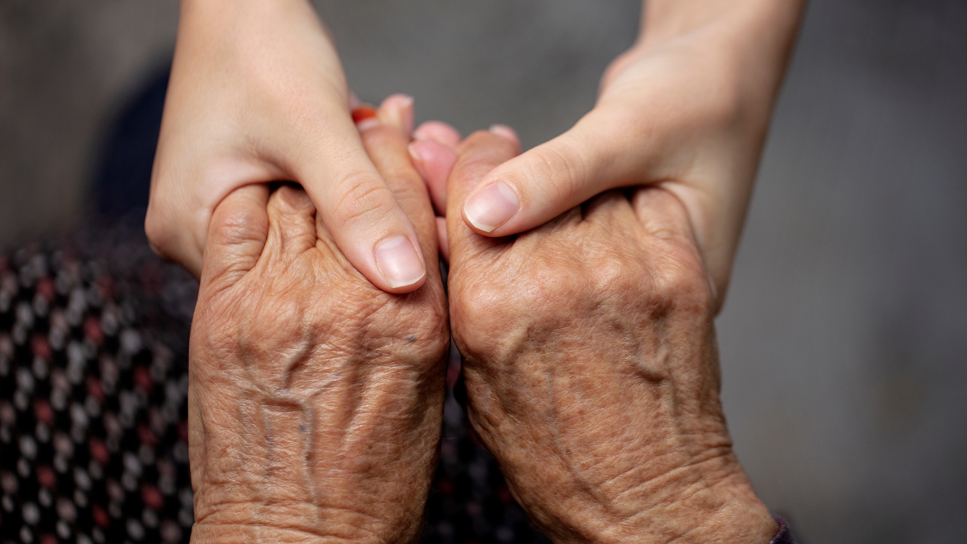 Demandes relatives à la veille sociale