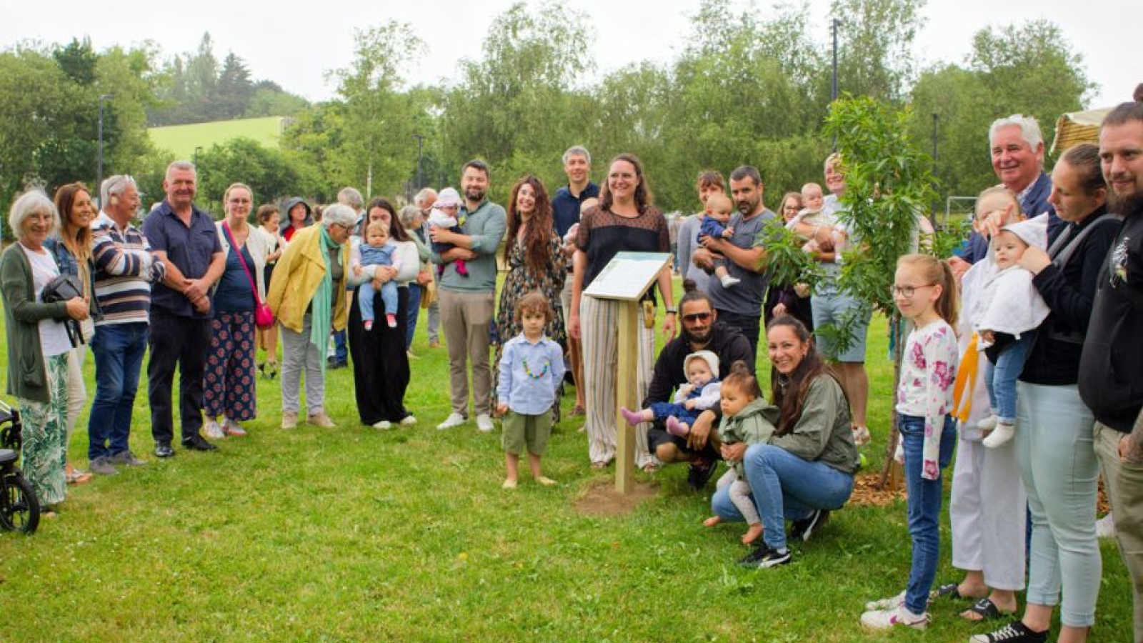 Nouveaux arrivants & arbre des naissances
