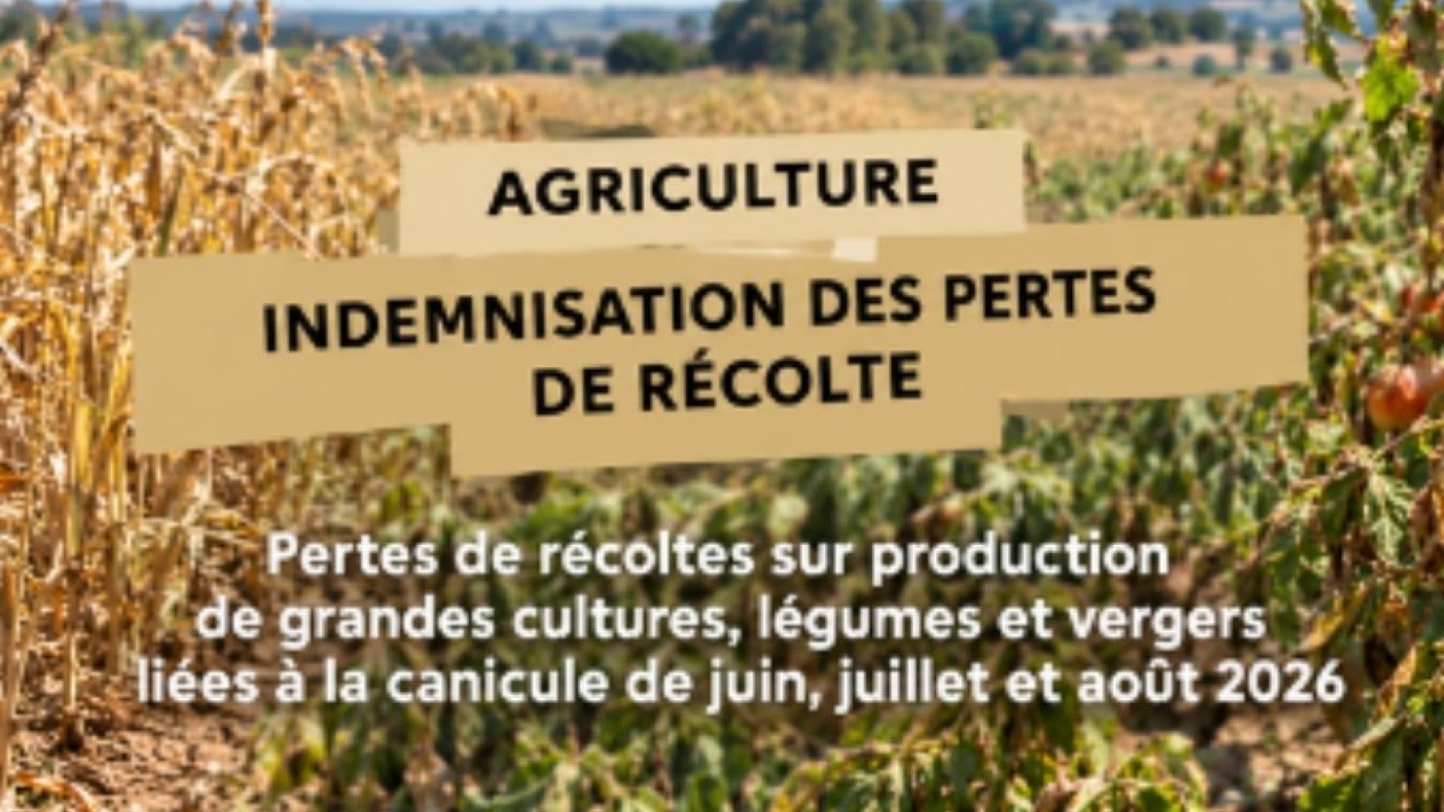 Agriculture-aide aux pertes de récoltes