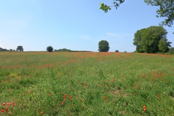 Développement durable