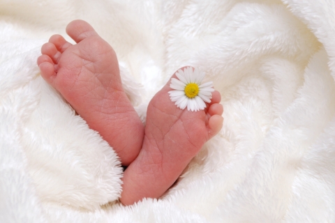 Déclarer une naissance