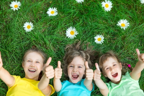 Le Printemps des familles