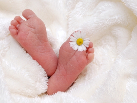 Déclarer une naissance