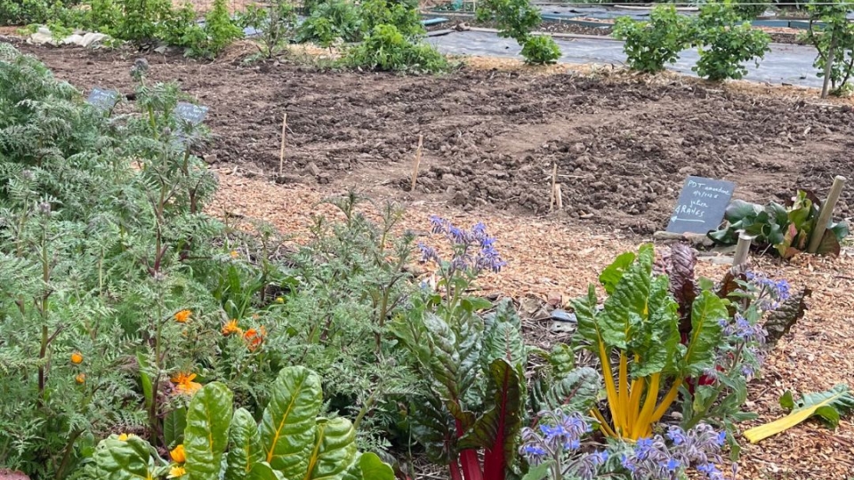 Et si le jardinage faisait partie de vos bonnes résolutions ? 