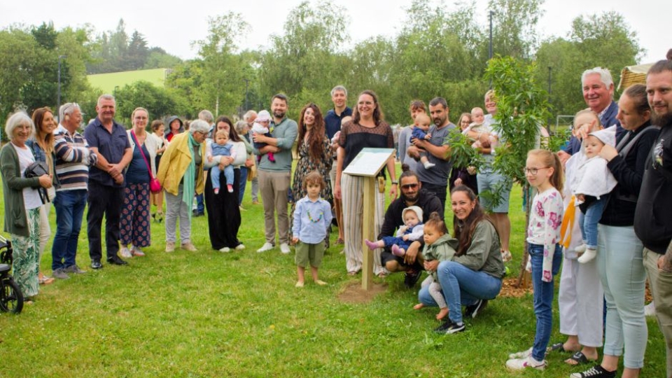 Nouveaux arrivants & arbre des naissances
