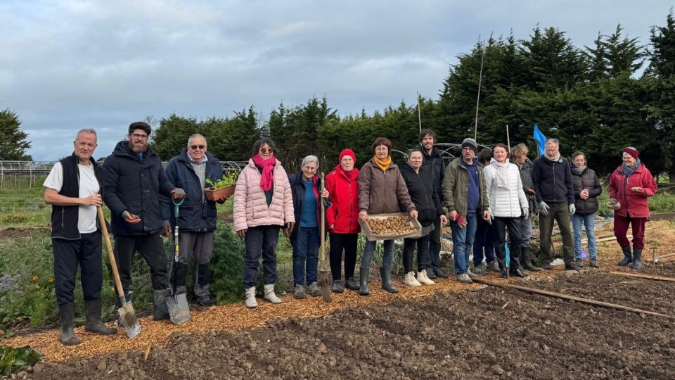 Le planté de patates est lancé !