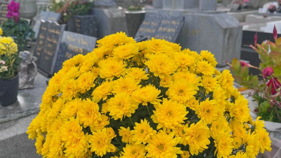 1 er novembre - Toussaint