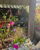 lavoir_g__original