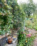 le_jardin_des_petites_mains