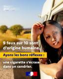 prevention_1_original